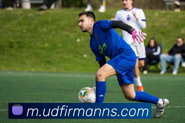 奖项证书